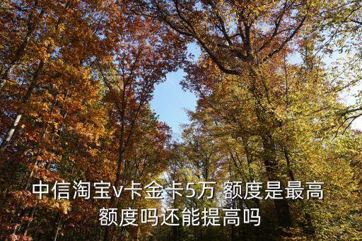 信用淘寶卡額度是多少,為什么淘寶先用后付有額度顯示信用