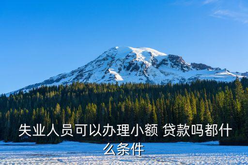  失業(yè)人員可以辦理小額 貸款嗎都什么條件