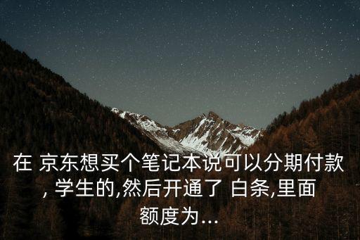 在 京東想買個筆記本說可以分期付款, 學生的,然后開通了 白條,里面額度為...