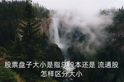 股票盤子大小是指總股本還是 流通股怎樣區(qū)分大小