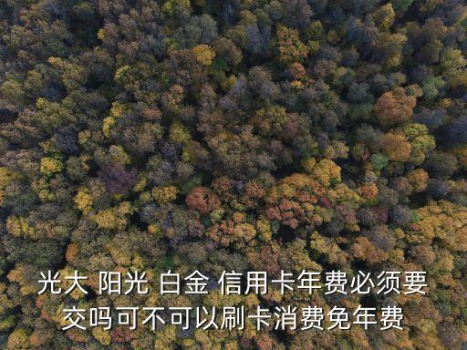 光大 陽光 白金 信用卡年費必須要交嗎可不可以刷卡消費免年費