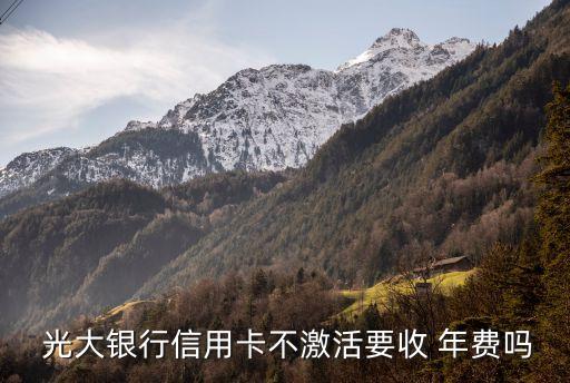  光大銀行信用卡不激活要收 年費嗎