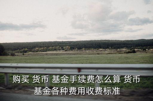 購(gòu)買 貨幣 基金手續(xù)費(fèi)怎么算 貨幣 基金各種費(fèi)用收費(fèi)標(biāo)準(zhǔn)