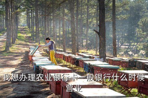 我想辦理農(nóng)業(yè)銀行卡一般銀行什么時(shí)候營業(yè)