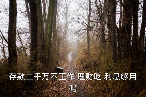 2000萬買理財一年利息是多少,用2000萬理財一年可以掙多少