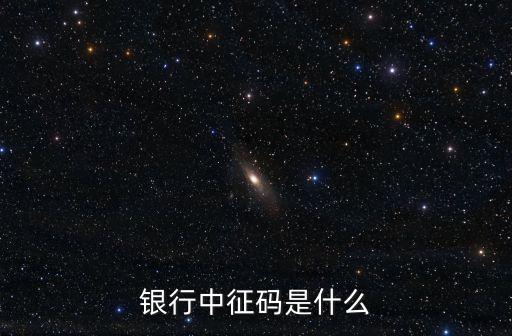 銀行中征碼是什么