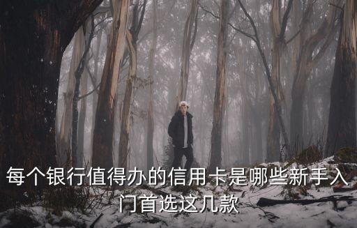 每個銀行值得辦的信用卡是哪些新手入門首選這幾款