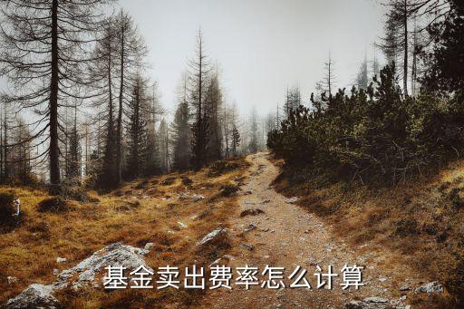 買基金買賣手續(xù)費(fèi)多少才合算,基金買賣規(guī)則及交易時(shí)間是怎樣的