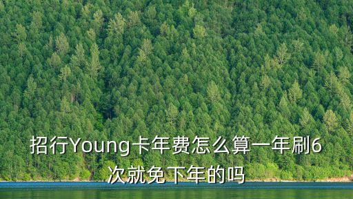 招行Young卡年費(fèi)怎么算一年刷6次就免下年的嗎