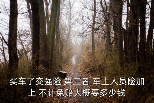 買(mǎi)車(chē)了交強(qiáng)險(xiǎn) 第三者 車(chē)上人員險(xiǎn)加上 不計(jì)免賠大概要多少錢(qián)