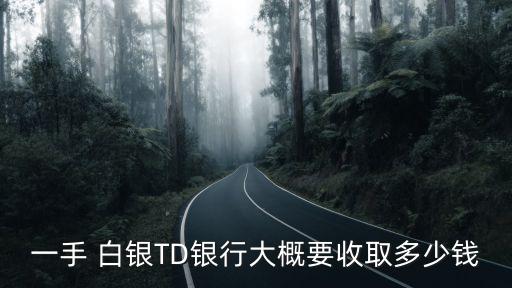 白銀td手續(xù)費(fèi)多少,工行白銀td手續(xù)費(fèi)計(jì)算