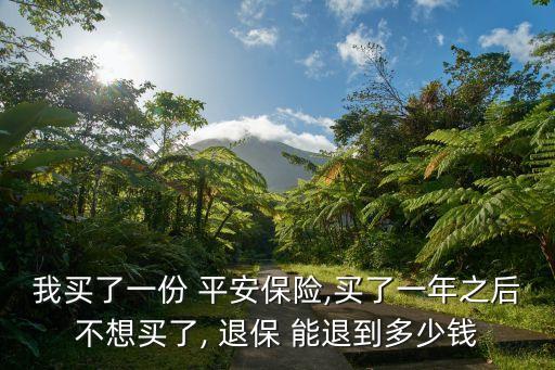 我買(mǎi)了一份 平安保險(xiǎn),買(mǎi)了一年之后不想買(mǎi)了, 退保 能退到多少錢(qián)