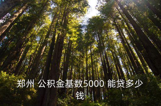 鄭州 公積金基數(shù)5000 能貸多少錢