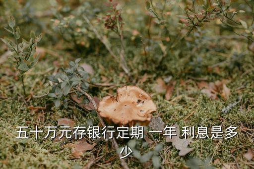 五十萬(wàn)元存銀行定期 一年 利息是多少