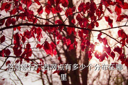 南寧的招商銀行營(yíng)業(yè)廳地址電話是多少,南寧招商銀行營(yíng)業(yè)廳營(yíng)業(yè)時(shí)間