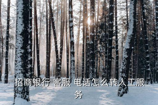  招商銀行 客服 電話怎么轉(zhuǎn)人工服務(wù)