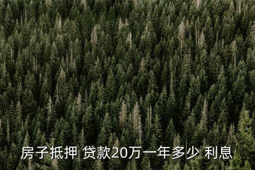 房子抵押 貸款20萬一年多少 利息