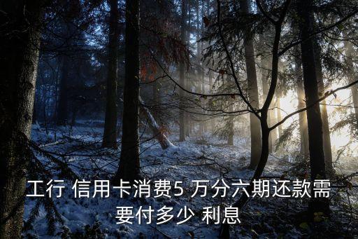 信用卡5萬分6期利息是多少