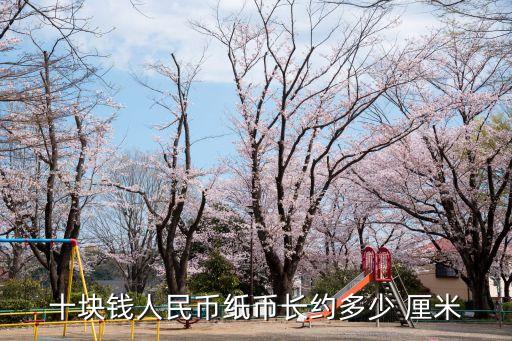 一方10元是多少厘米
