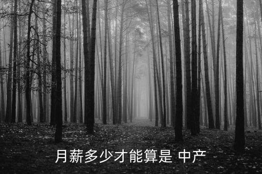月薪多少才能算是 中產(chǎn)