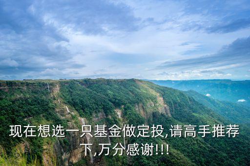 現(xiàn)在想選一只基金做定投,請(qǐng)高手推薦下,萬(wàn)分感謝!!!
