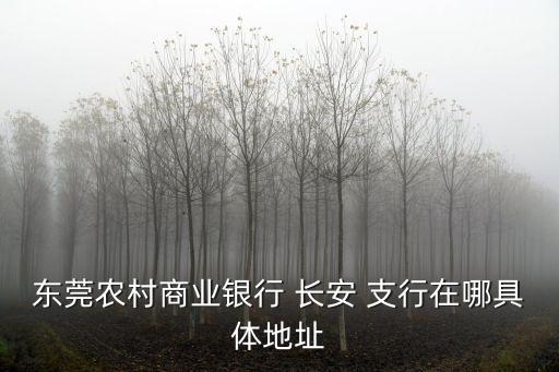 農(nóng)行石家莊長安支行電話是多少錢