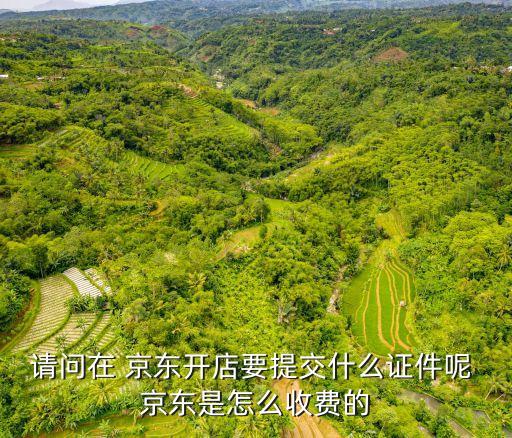 請問在 京東開店要提交什么證件呢 京東是怎么收費(fèi)的