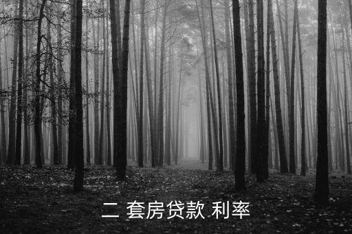 二 套房貸款 利率