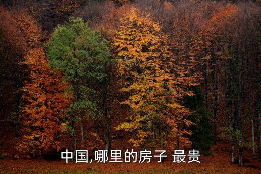 中國最貴樓盤價格是多少,中國樓盤價格排名