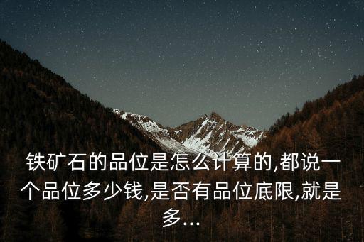 鐵礦石波動一個點多少錢