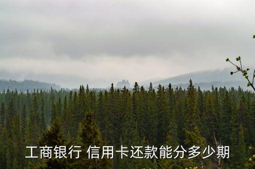 工商銀行 信用卡還款能分多少期