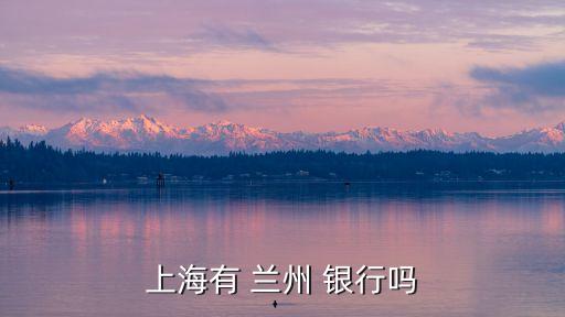 蘭州銀行有多少個網(wǎng)店