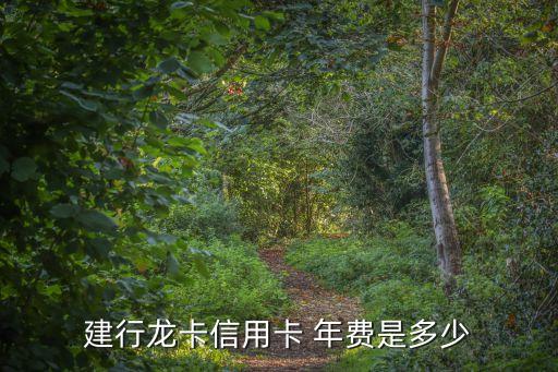 建行龍卡信用卡 年費(fèi)是多少