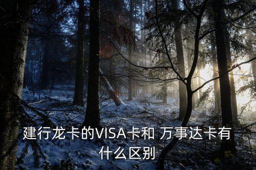 萬(wàn)事達(dá)和visa信用卡額度是多少,雙幣信用卡visa好還是萬(wàn)事達(dá)好