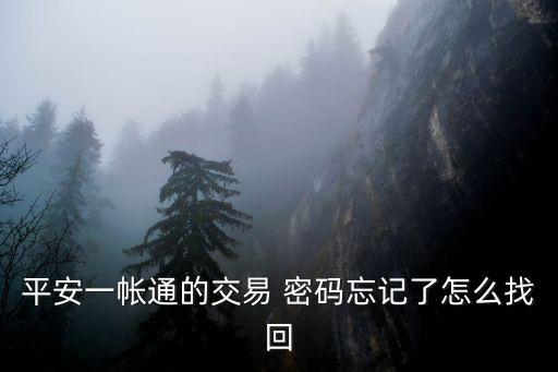 一賬通原始密碼是多少錢