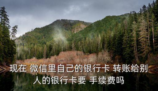 現(xiàn)在 微信里自己的銀行卡 轉(zhuǎn)賬給別人的銀行卡要 手續(xù)費嗎