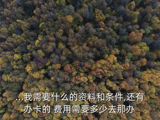 ...我需要什么的資料和條件,還有辦卡的 費(fèi)用需要多少去那辦