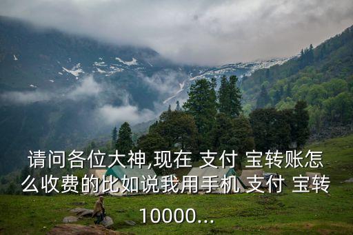 支付寶轉(zhuǎn)一萬元要多少手續(xù)費(fèi)多少,一萬元支付寶一年多少錢