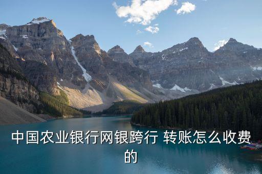中國農(nóng)業(yè)銀行網(wǎng)銀跨行 轉(zhuǎn)賬怎么收費(fèi)的