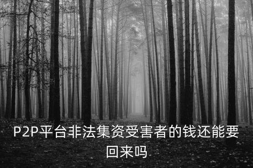 p2p立案后能要回多少