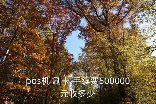 pos機 刷卡 手續(xù)費500000元收多少