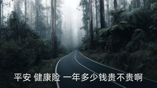 平安 健康險(xiǎn) 一年多少錢貴不貴啊