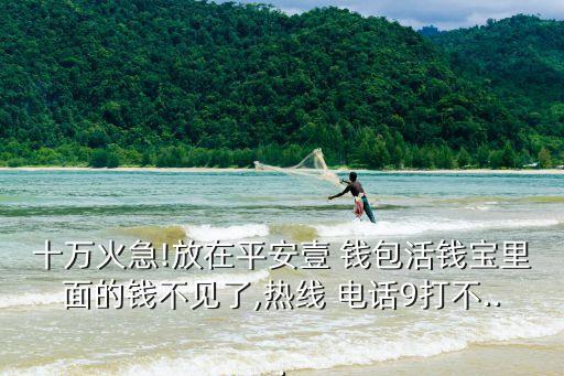 十萬火急!放在平安壹 錢包活錢寶里面的錢不見了,熱線 電話9打不...