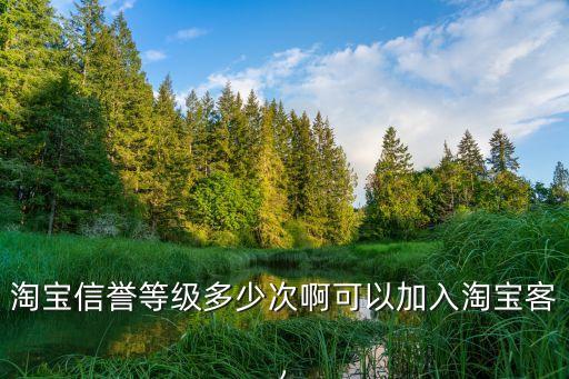 淘寶信譽(yù)等級(jí)多少次啊可以加入淘寶客,