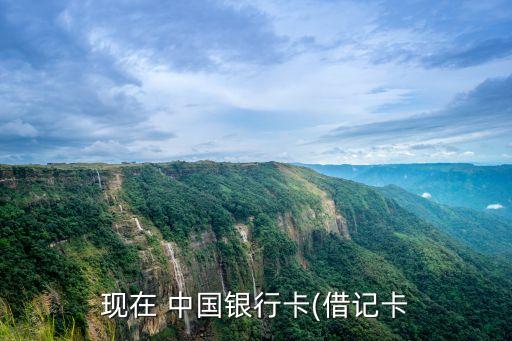 現(xiàn)在 中國銀行卡(借記卡
