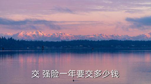 交 強險一年要交多少錢
