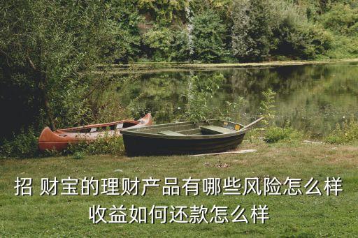 招 財(cái)寶的理財(cái)產(chǎn)品有哪些風(fēng)險(xiǎn)怎么樣收益如何還款怎么樣