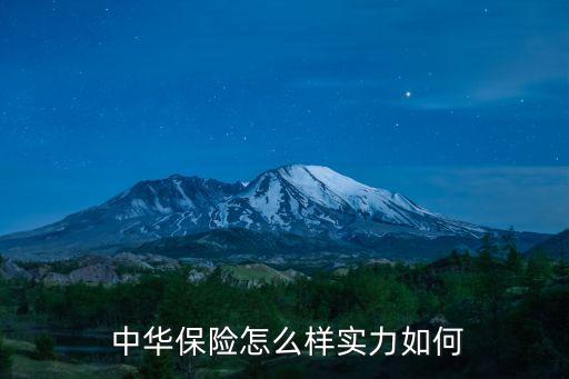  中華保險怎么樣實力如何
