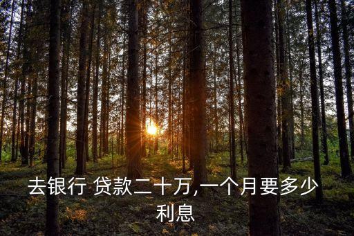 20萬貸款半年多少利息,20w貸款一年利息多少