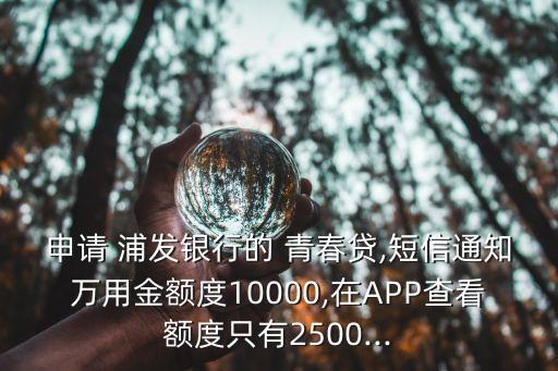 申請 浦發(fā)銀行的 青春貸,短信通知萬用金額度10000,在APP查看額度只有2500...
